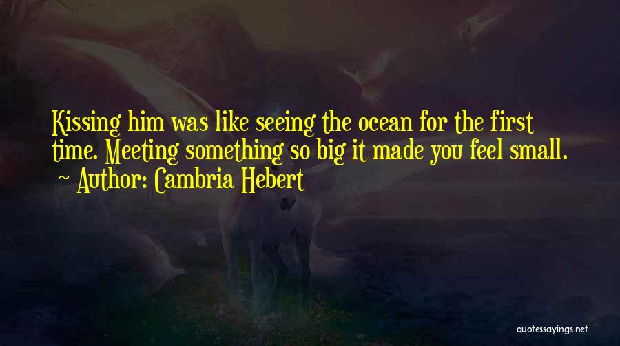 First Time Seeing You Quotes By Cambria Hebert