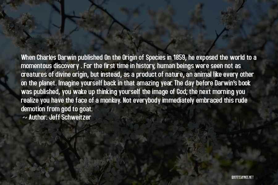 First Time Seen Quotes By Jeff Schweitzer