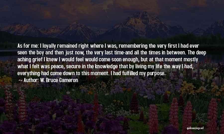 First Time Seen Quotes By W. Bruce Cameron