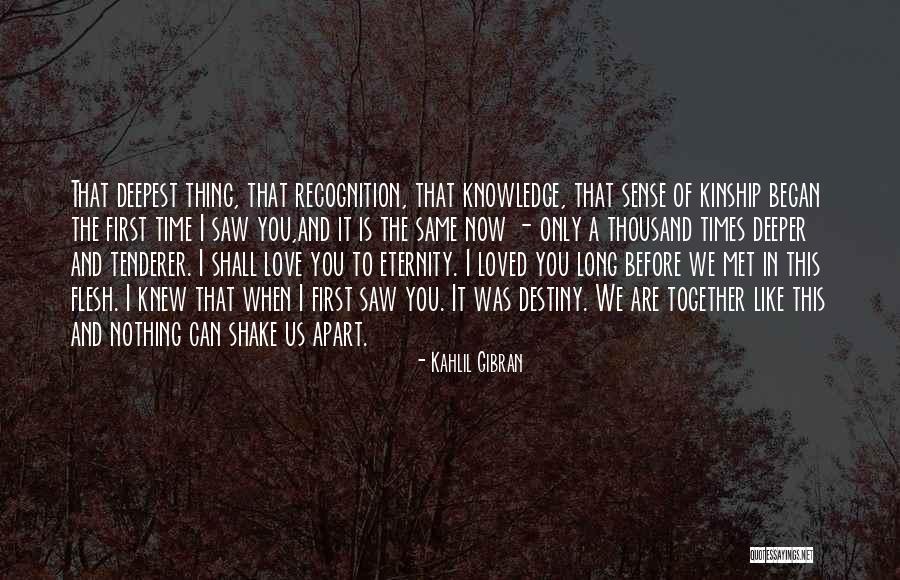 First Time We Met Love Quotes By Kahlil Gibran