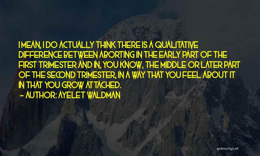 First Trimester Quotes By Ayelet Waldman