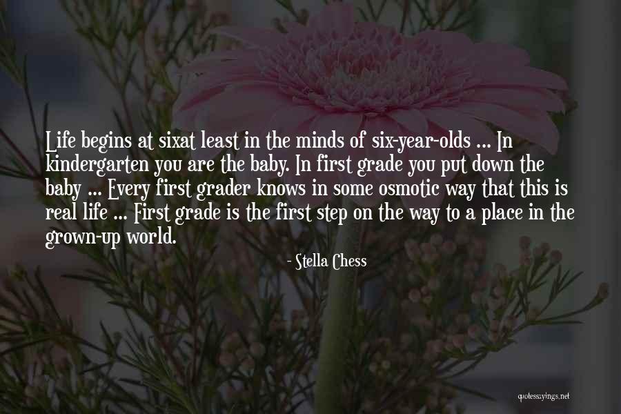 First Year Of Life Quotes By Stella Chess