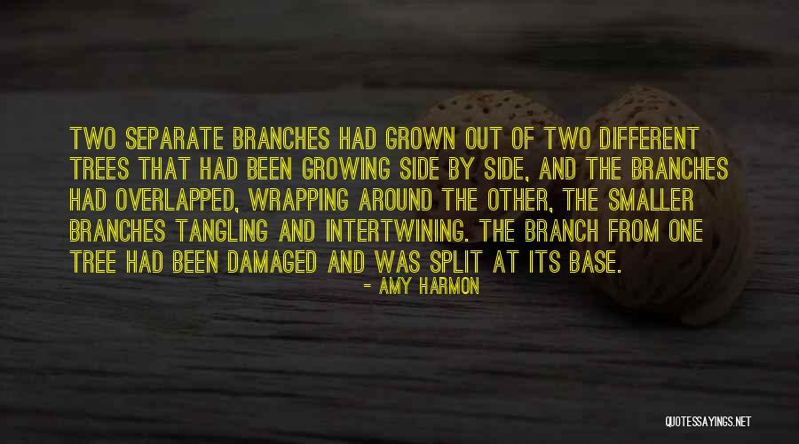 Firsthand Weather Quotes By Amy Harmon Firsthand Weather Quotes By Amy Harmon