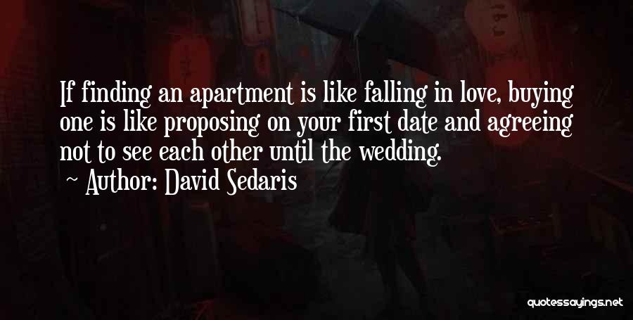 Firsts In Love Quotes By David Sedaris