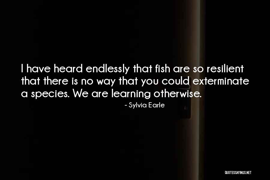 Fish And Learning Quotes By Sylvia Earle Fish And Learning Quotes By Sylvia Earle