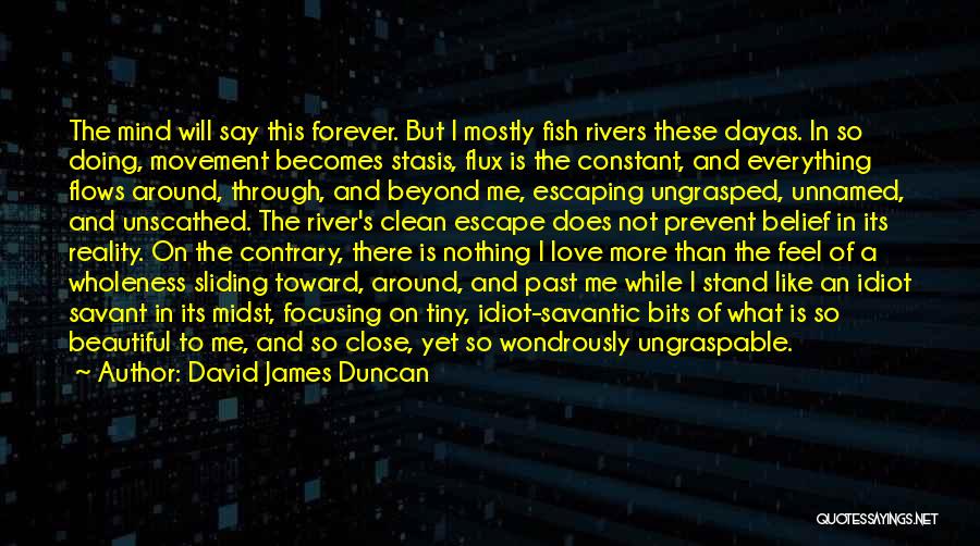 Fish And Love Quotes By David James Duncan