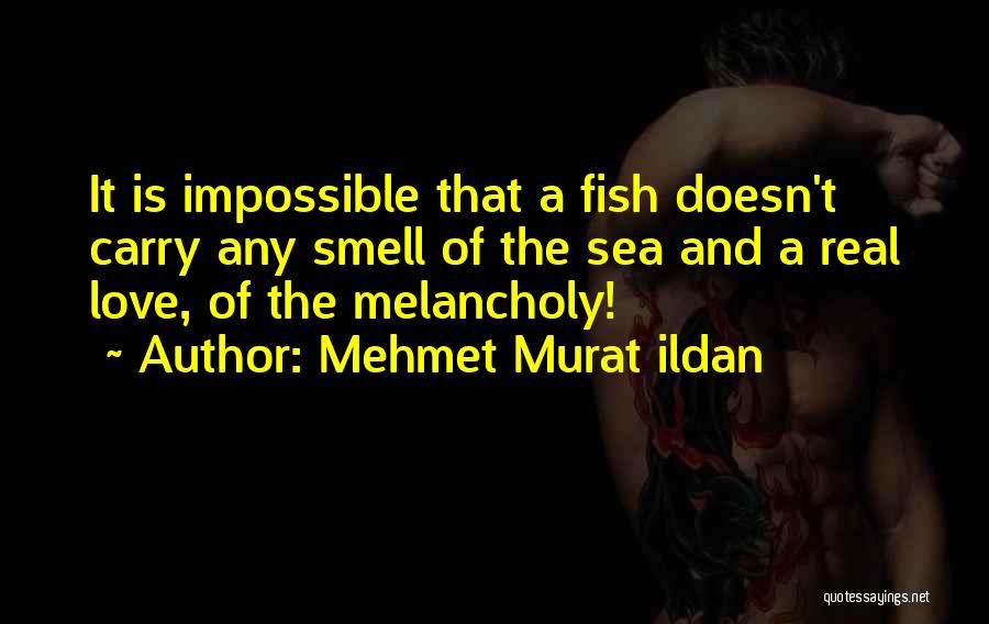 Fish And Love Quotes By Mehmet Murat Ildan