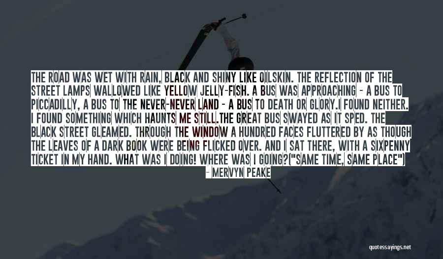 Fish And Time Quotes By Mervyn Peake Fish And Time Quotes By Mervyn Peake