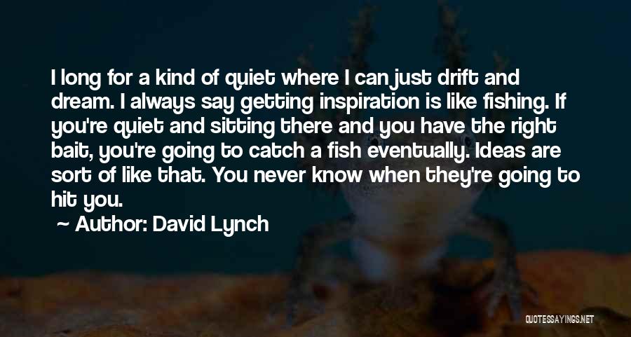 Fish Bait Quotes By David Lynch