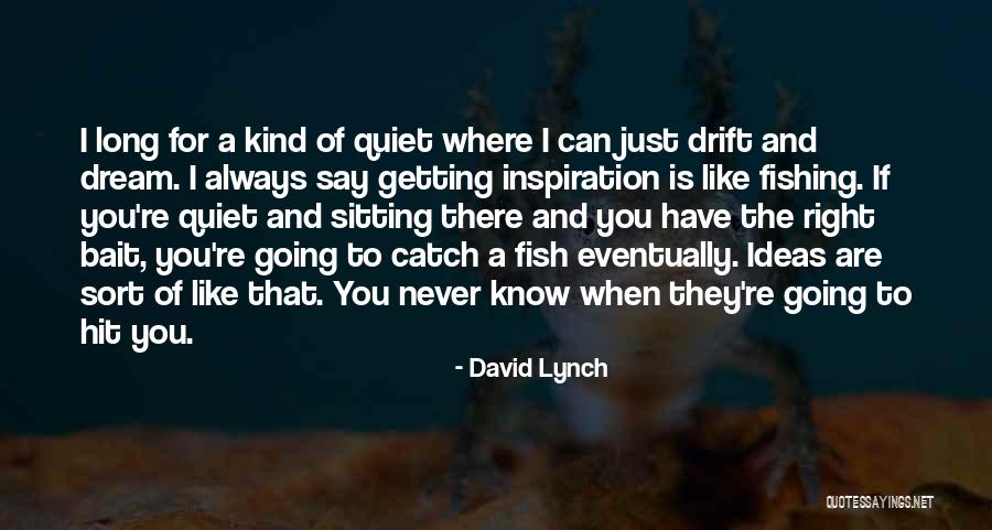 Fish Bait Quotes By David Lynch