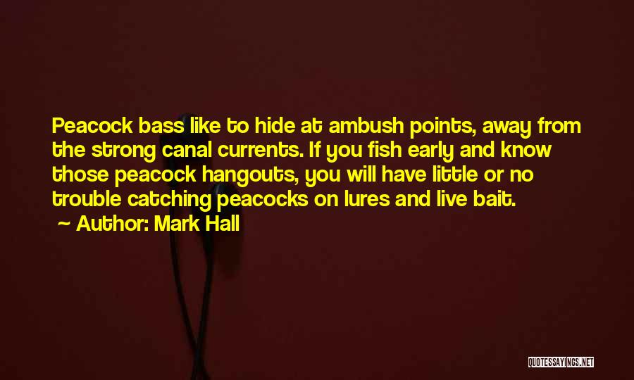 Fish Bait Quotes By Mark Hall