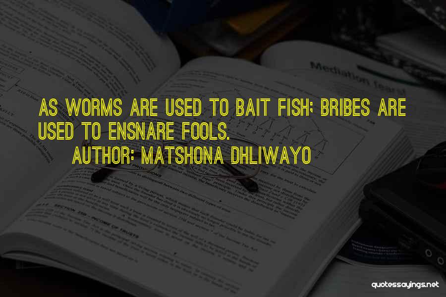 Fish Bait Quotes By Matshona Dhliwayo