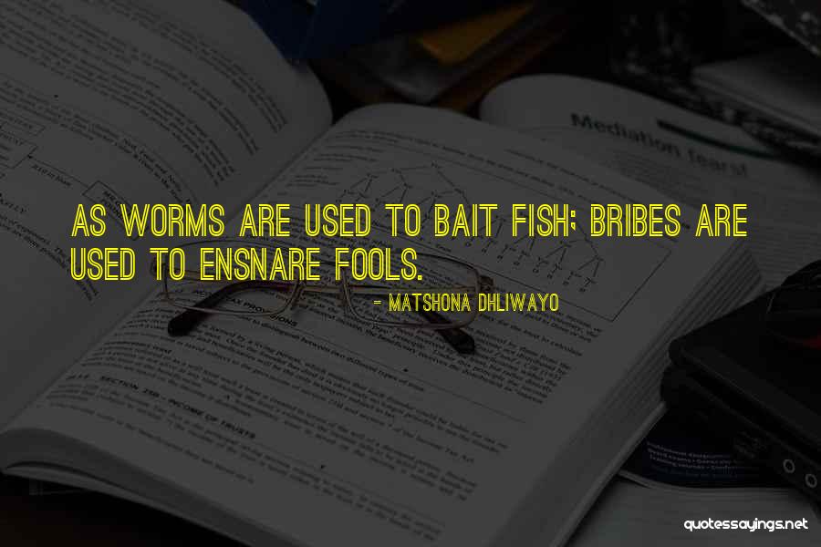 Fish Bait Quotes By Matshona Dhliwayo