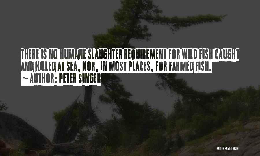 Fish Caught Quotes By Peter Singer