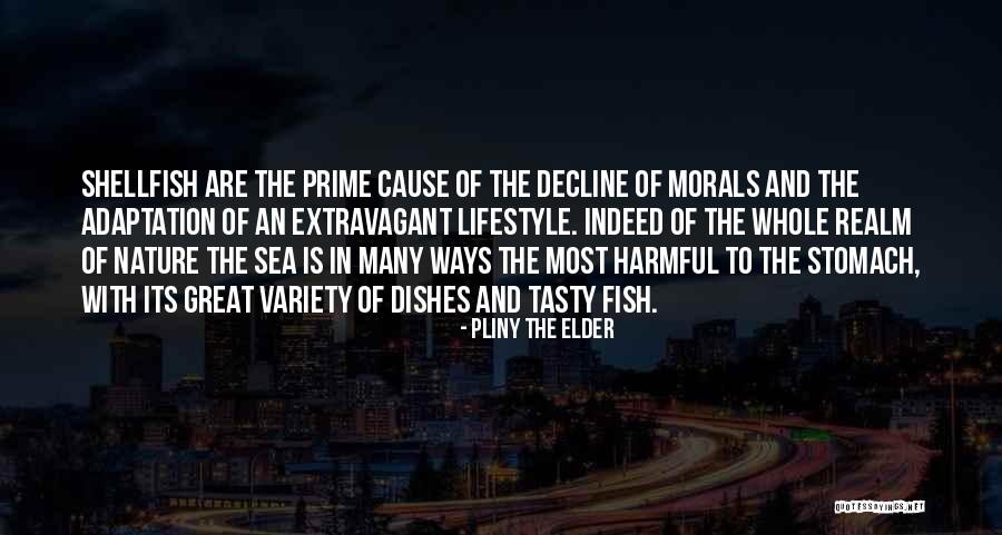 Fish Dishes Quotes By Pliny The Elder Fish Dishes Quotes By Pliny The Elder