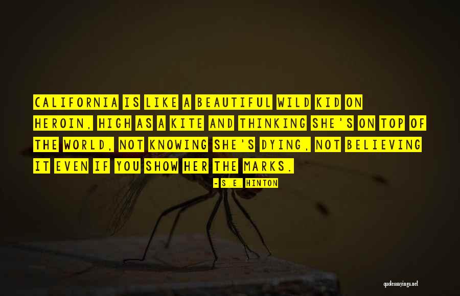 Fish Dying Quotes By S.E. Hinton Fish Dying Quotes By S.E. Hinton