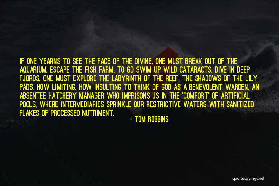 Fish Face Quotes By Tom Robbins Fish Face Quotes By Tom Robbins