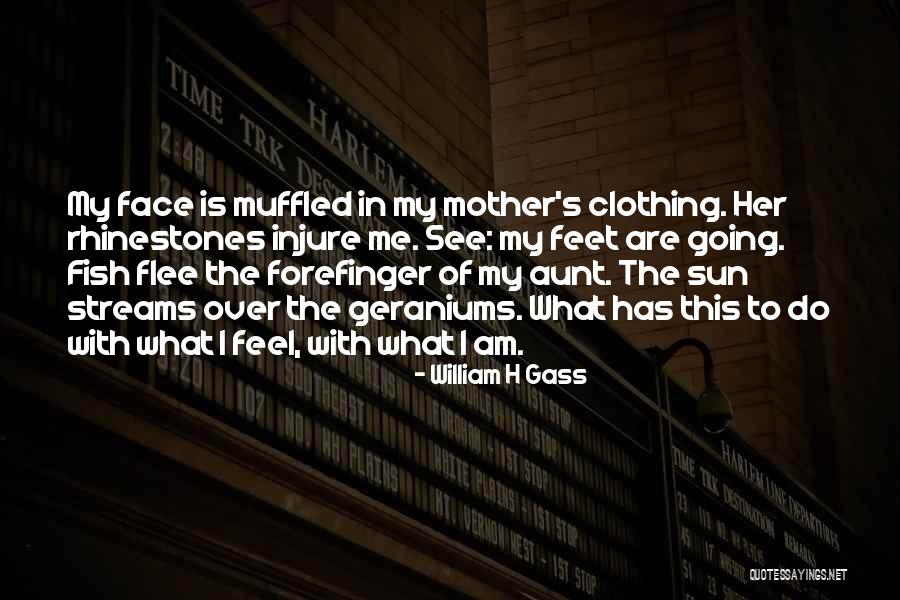 Fish Face Quotes By William H Gass Fish Face Quotes By William H Gass