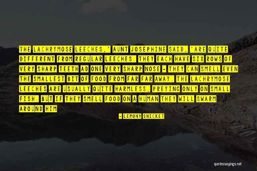 Fish Food Quotes By Lemony Snicket Fish Food Quotes By Lemony Snicket