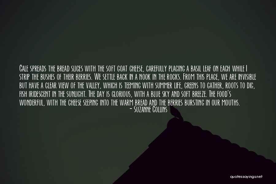 Fish Food Quotes By Suzanne Collins Fish Food Quotes By Suzanne Collins
