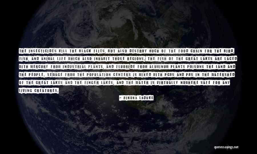 Fish Food Quotes By Winona LaDuke Fish Food Quotes By Winona LaDuke