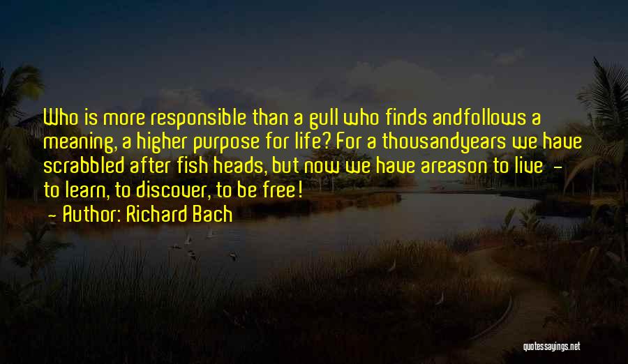 Fish Heads Quotes By Richard Bach