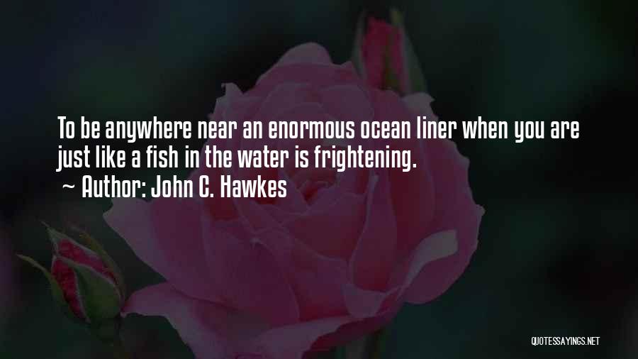 Fish In The Ocean Quotes By John C. Hawkes