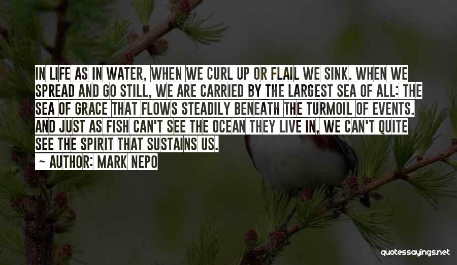 Fish In The Ocean Quotes By Mark Nepo