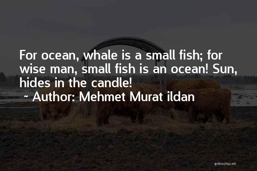 Fish In The Ocean Quotes By Mehmet Murat Ildan