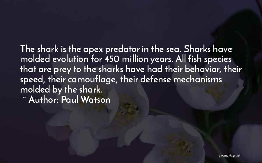 Fish In The Sea Quotes By Paul Watson