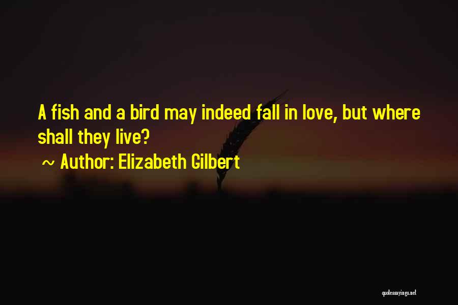 Fish Love Quotes By Elizabeth Gilbert