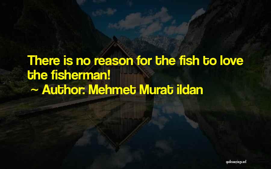 Fish Love Quotes By Mehmet Murat Ildan