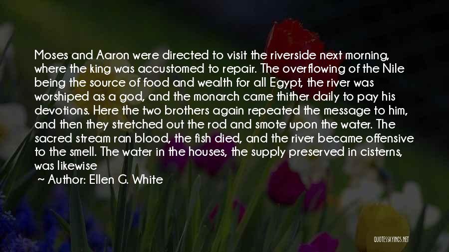 Fish Out Of Water Quotes By Ellen G. White