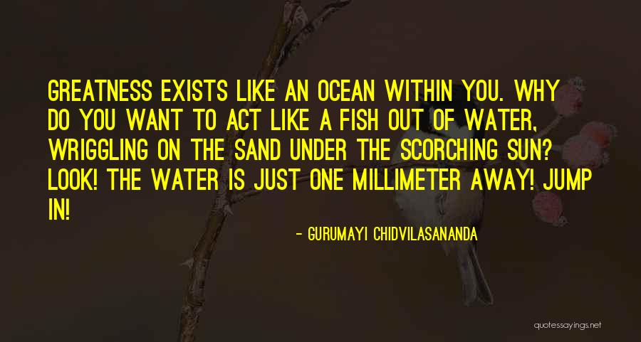 Fish Out Of Water Quotes By Gurumayi Chidvilasananda