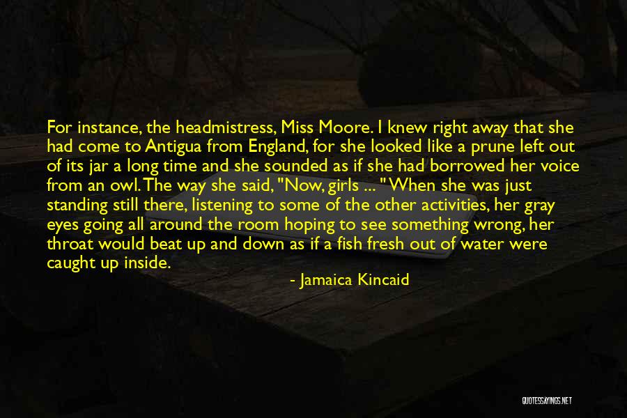 Fish Out Of Water Quotes By Jamaica Kincaid