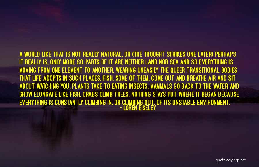 Fish Out Of Water Quotes By Loren Eiseley