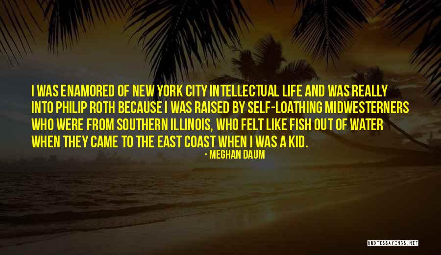 Fish Out Of Water Quotes By Meghan Daum