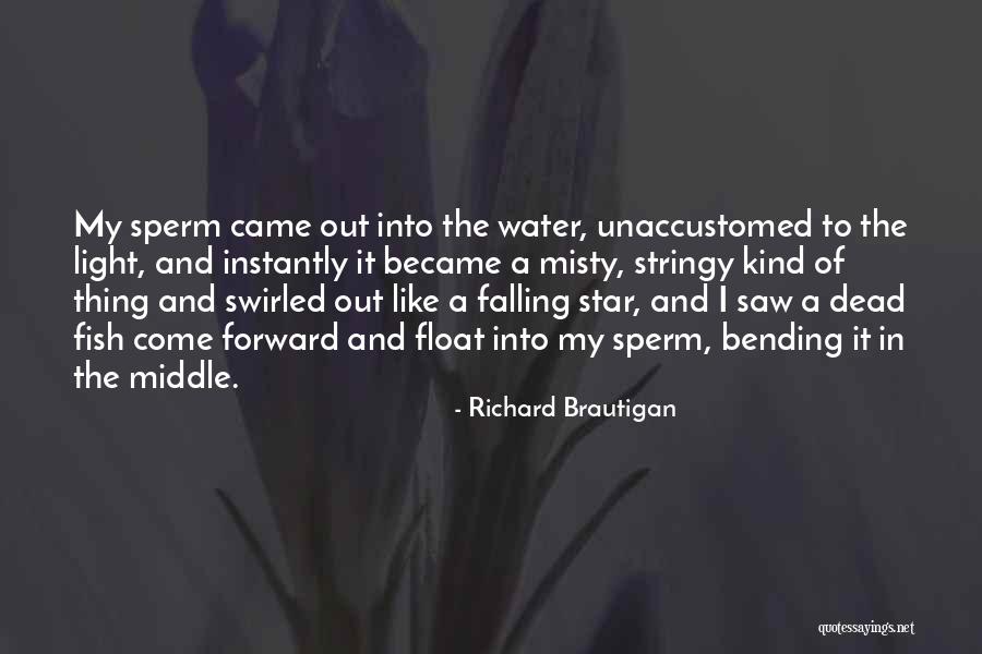 Fish Out Of Water Quotes By Richard Brautigan