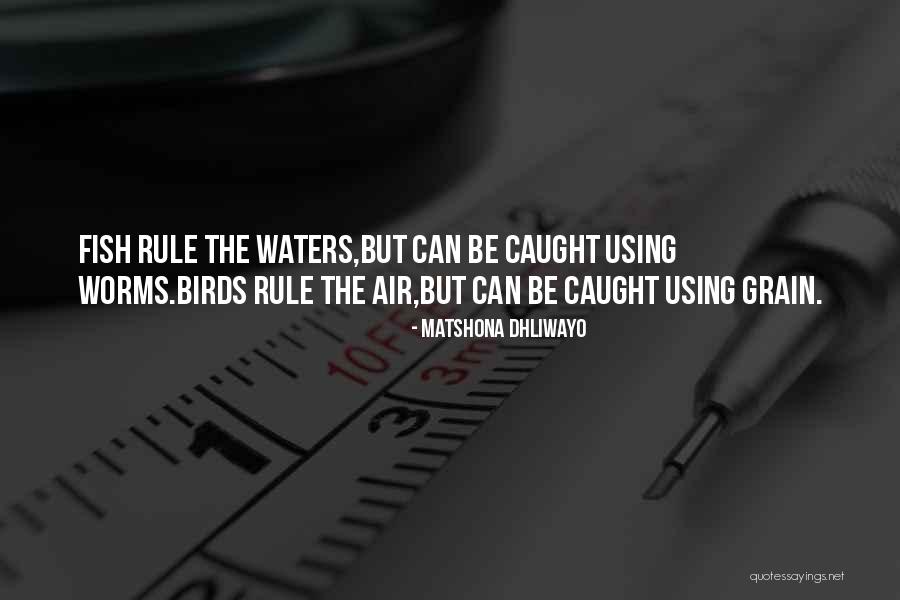 Fish Quotes Quotes By Matshona Dhliwayo Fish Quotes Quotes By Matshona Dhliwayo