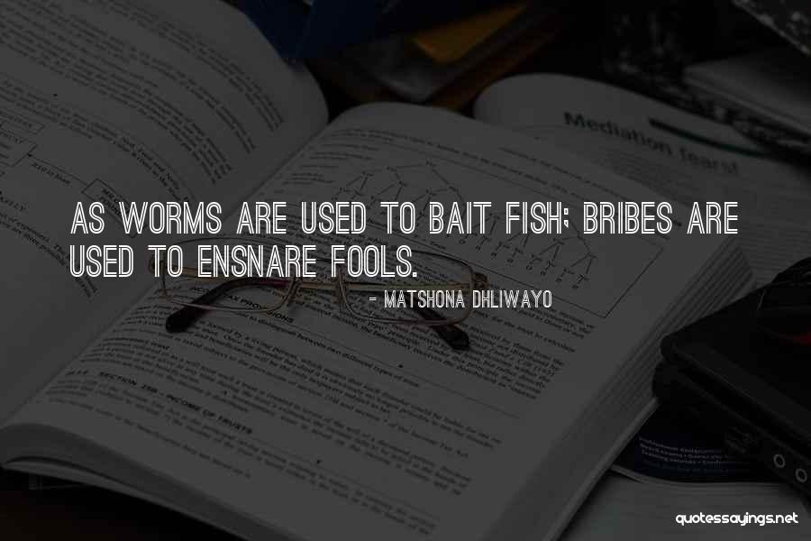 Fish Quotes Quotes By Matshona Dhliwayo Fish Quotes Quotes By Matshona Dhliwayo