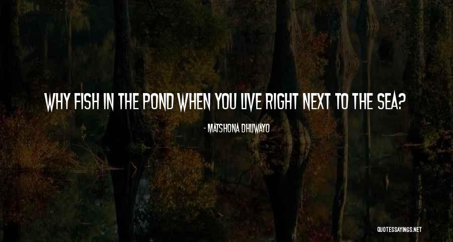 Fish Quotes Quotes By Matshona Dhliwayo Fish Quotes Quotes By Matshona Dhliwayo