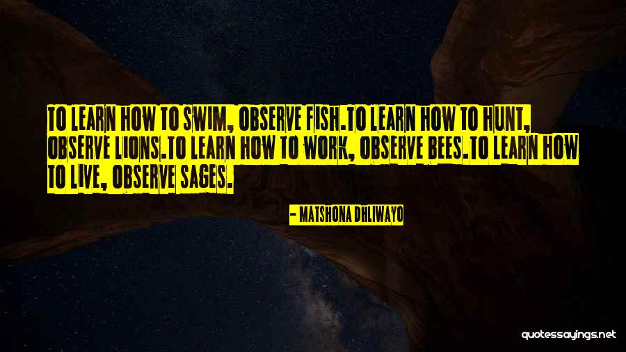 Fish Quotes Quotes By Matshona Dhliwayo Fish Quotes Quotes By Matshona Dhliwayo