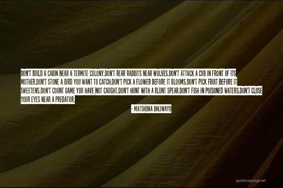 Fish Quotes Quotes By Matshona Dhliwayo Fish Quotes Quotes By Matshona Dhliwayo