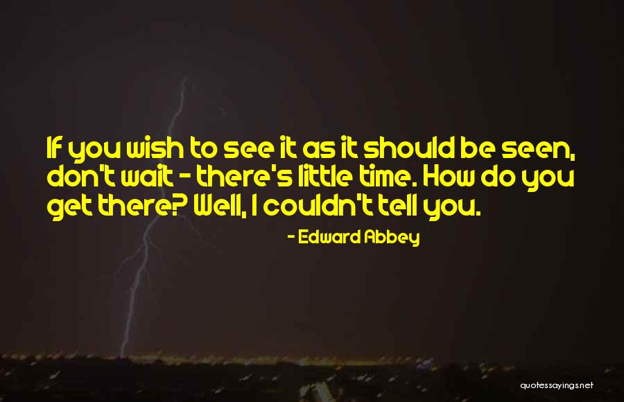Fishelis Quotes By Edward Abbey Fishelis Quotes By Edward Abbey