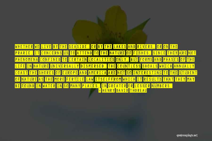 Fishes And Life Quotes By Henry David Thoreau Fishes And Life Quotes By Henry David Thoreau