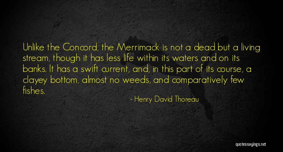 Fishes And Life Quotes By Henry David Thoreau Fishes And Life Quotes By Henry David Thoreau