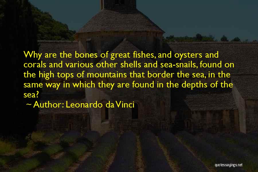 Fishes In The Sea Quotes By Leonardo Da Vinci