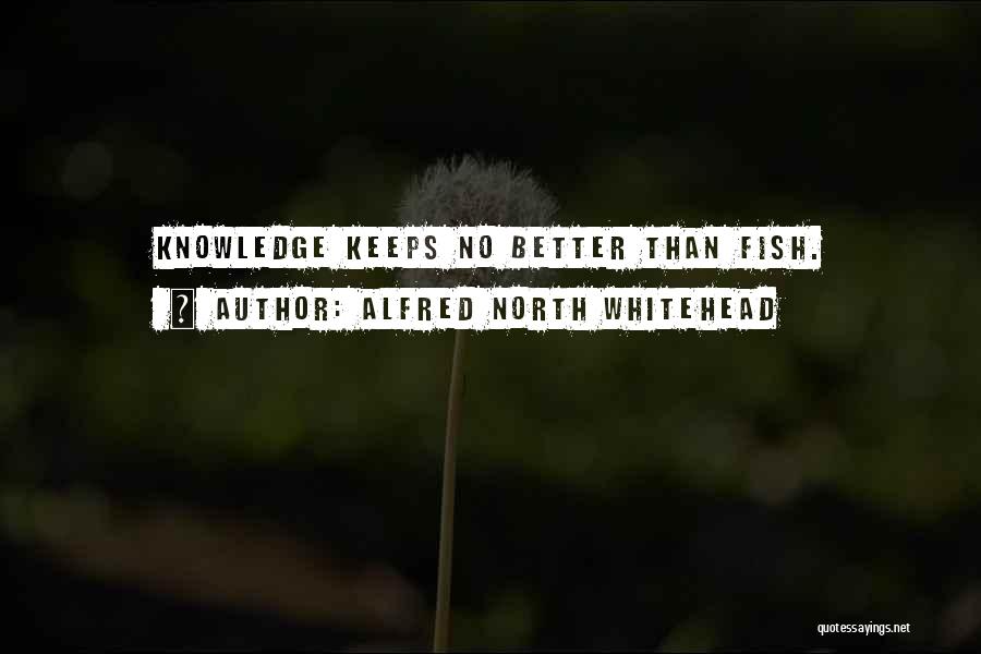 Fishes Quotes By Alfred North Whitehead