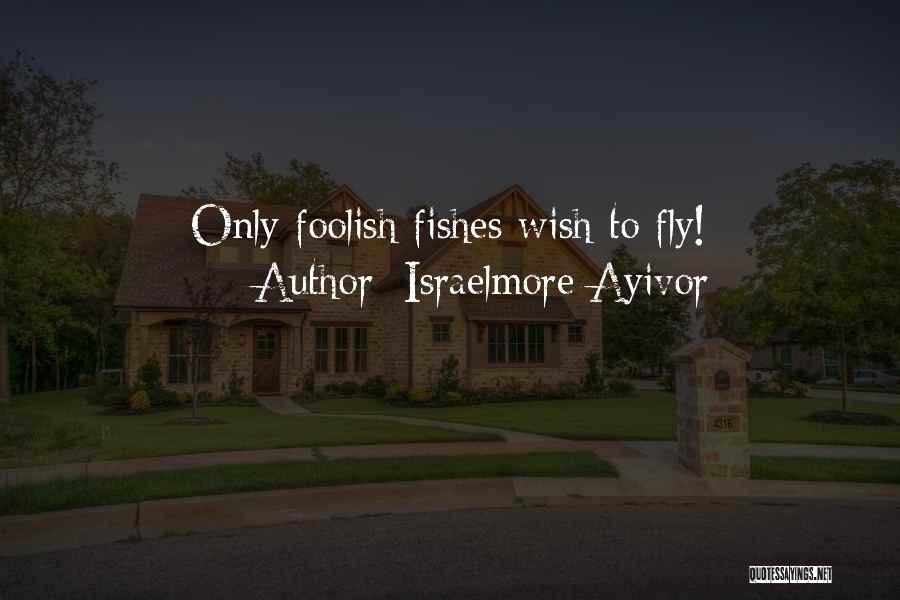 Fishes Quotes By Israelmore Ayivor