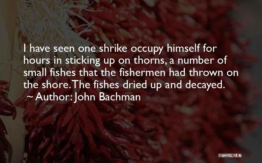 Fishes Quotes By John Bachman